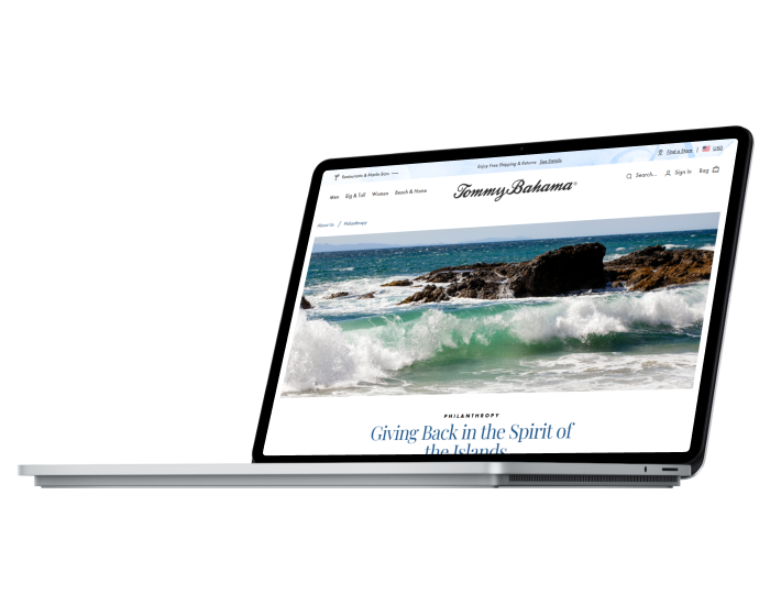 Website Accessibility project